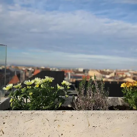 Lejlighed 360 Panorama • Rooftop Jacuzzi • Downtown Luxury *